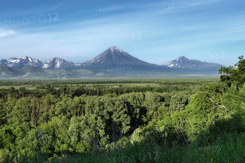 Kamchatka Peninsula summer landscape: beautiful view of Avachinsky-Koryaksky Group of Volcanoes, green forest and blue sky on sunny day. Kamchatka Region, Russian Far East, Eurasia