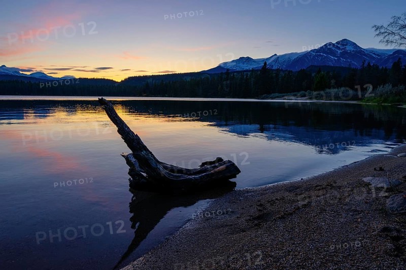 Beautiful autumn landscape scene in mountain in background in Jasper National Park west Canada