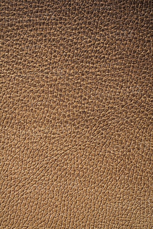 Texture of leather