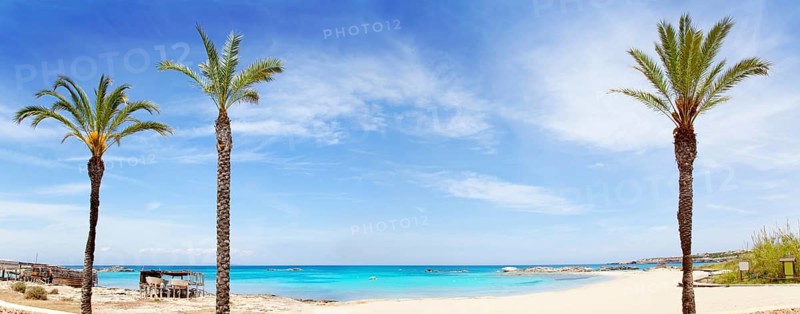 Els Pujols formentera beach with turquoise water and palm trees in balearic islands