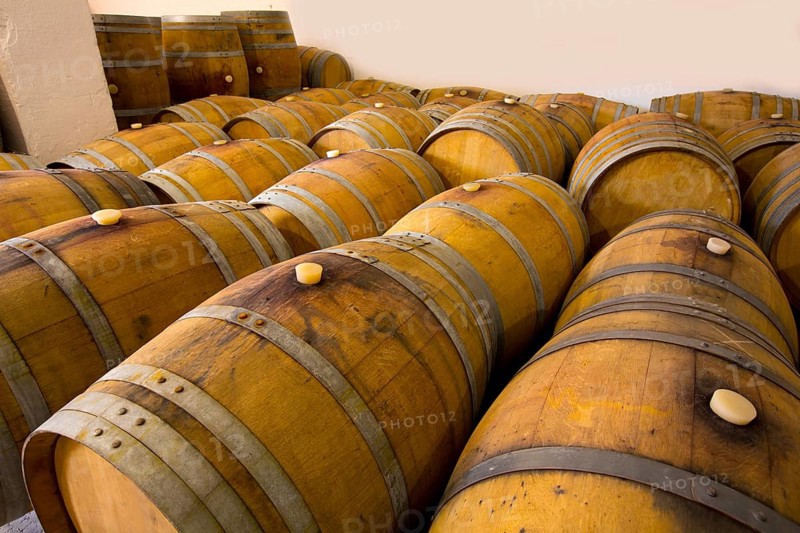 Wine barrels oak wood in mediterranean winery