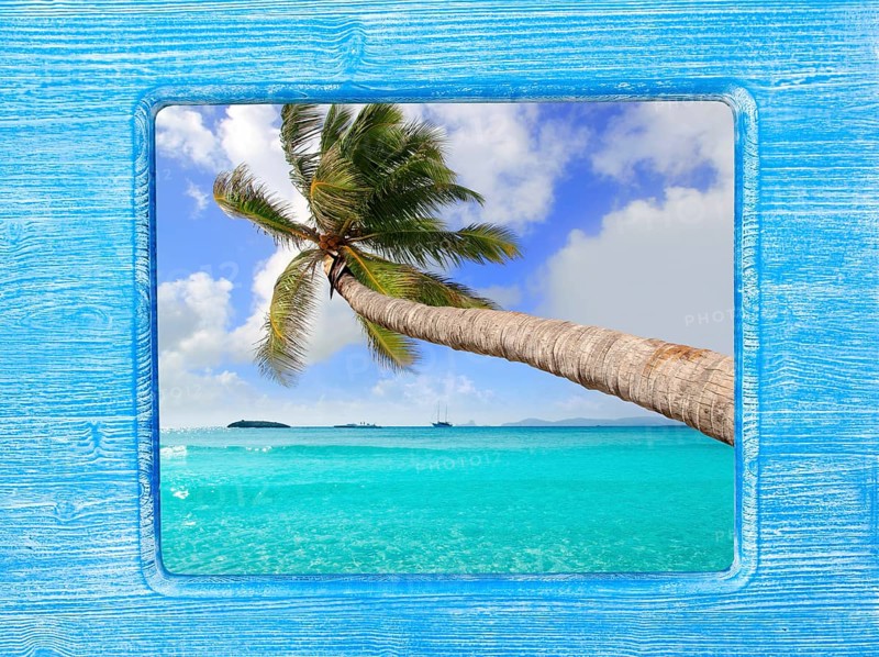 Blue wood border frame with palm tree tropical beach