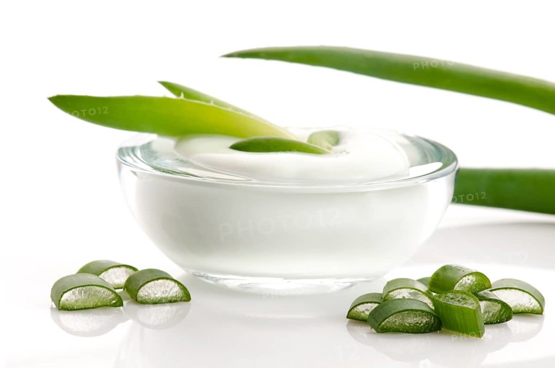 Aloe vera - leaves and cream isolated on white background, poland