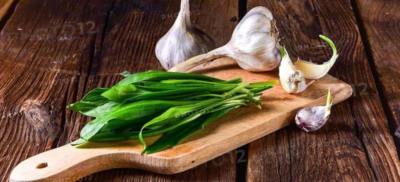 Fresh and tasty wild garlic