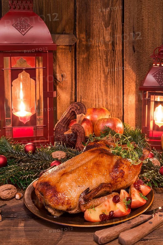 Christmas duck