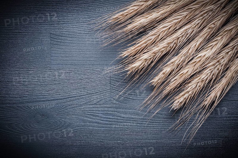 Wheat ears on vintage wood board