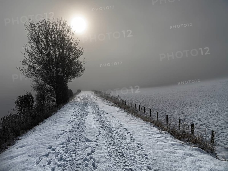 Sun peaking through mist on a snow covered footpath (on disused railway) in the Scottish Borders