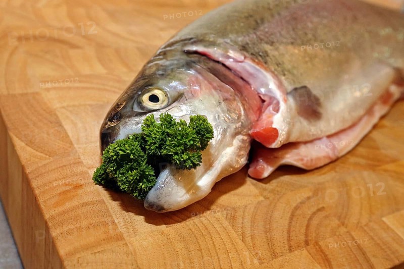 Fresh salmon trout