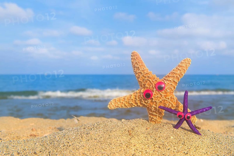 Funny star fishes with eyes at the beach with the sea in the background