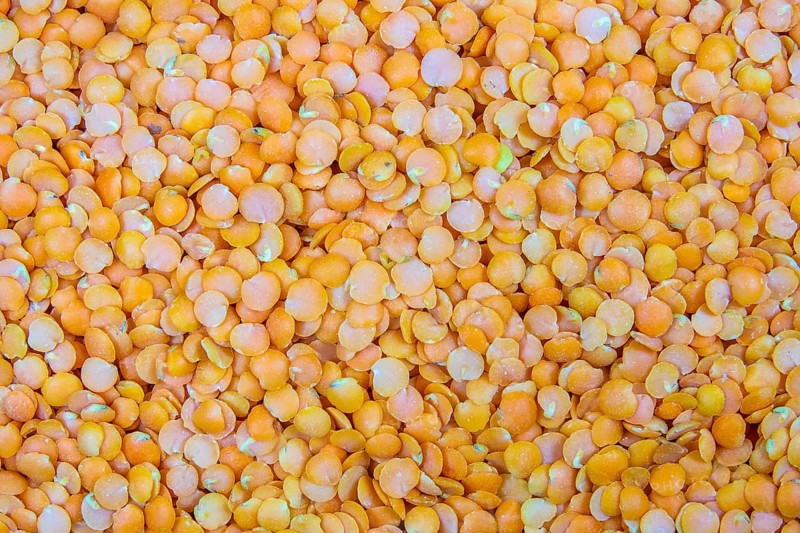 Background Abstract Texture of Red (Orange) Lentils