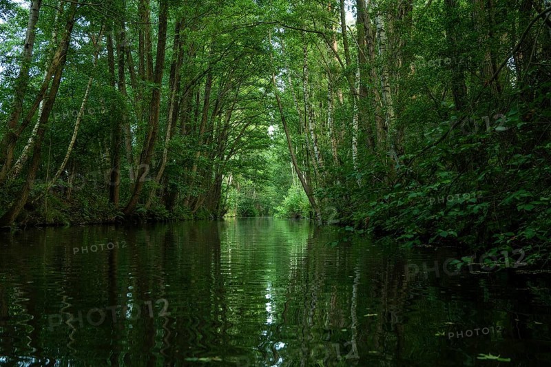 Travelling by kayak in the Lower Spreewald 4