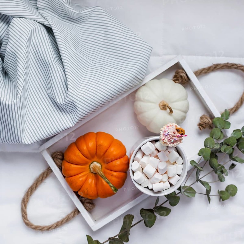 Creative Top view flat lay sill life autumn composition. Hot cacao coffee chocolate with marshmallows mug pumpkins on tray in bed. Square Concept fall cozy warm home comfort morning natural light
