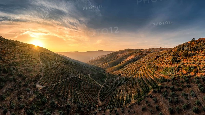 Sao Joao da Resqueira - terraced Portuguese vineyards near Nagozelo do Douro, where port wine is produced