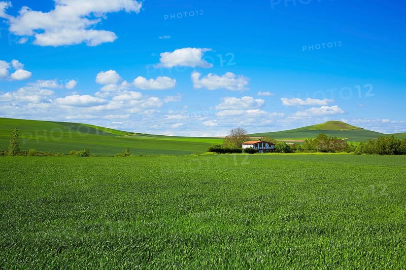 Cereal fields by The Way of Saint James in Castilla near Burgos