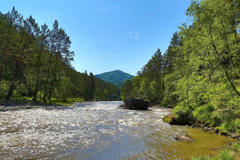 Mountain river Sema landscape in Siberia, Altai, Russia, Europe