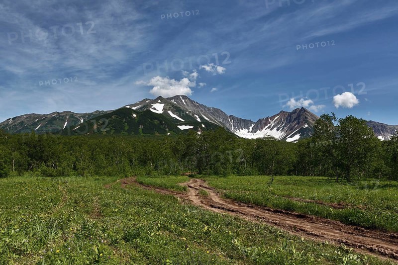 Nature of Kamchatka Peninsula: forest road in mountains on sunny day. Russia, Far East, Kamchatka Peninsula