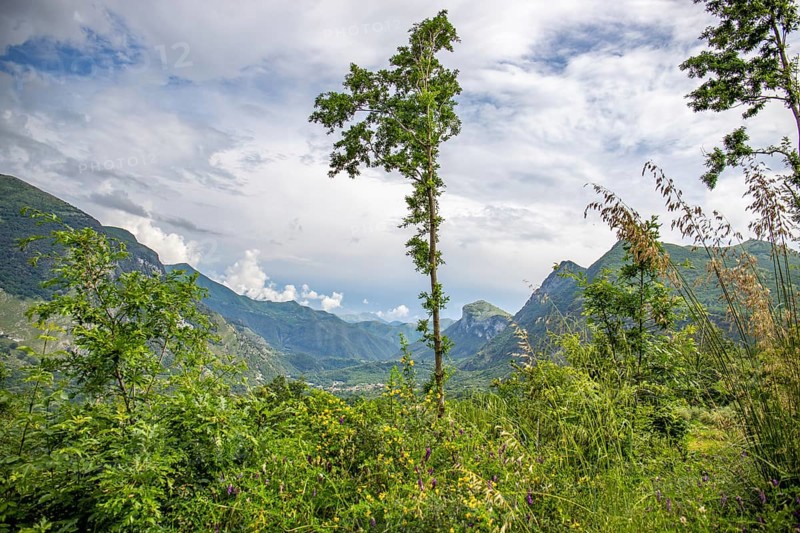Coastal landscape shot. View from a road leading through a mountainous landscape and breathtaking green Mediterranean scenery. Coast near Salerno, Italy, Europe