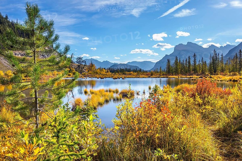 The Rocky Mountains of Canada. The magic of northern Indian summer. Lake Vermillon among yellow autumn aspens. The concept of ecological and photo tourism