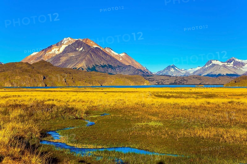 The yellow grass field with streams from underground sources. Trip to the Argentine Patagonia. The private hacienda are surrounded by distant mountains. The concept of exotic and active tourism
