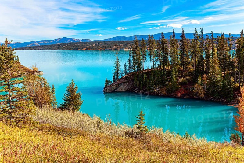 Lake with picturesque blue water, arose due to the blocking of the North Saskatchewan River. This artificial lake was formed as a result of the construction of the Bighorn Dam. Canadian autumn