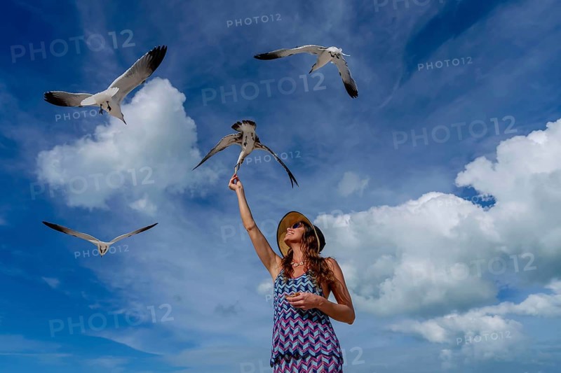 A stunning woman gracefully feeds seagulls on a Caribbean beach, surrounded by turquoise waters and golden sands, creating a picturesque vacation scene, Progresso, Mexico, Central America