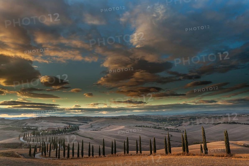 Tuscan hilly landscape with cypresses under a dramatic sky, Asciano, Province of Siena, Tuscany, Italy, Europe