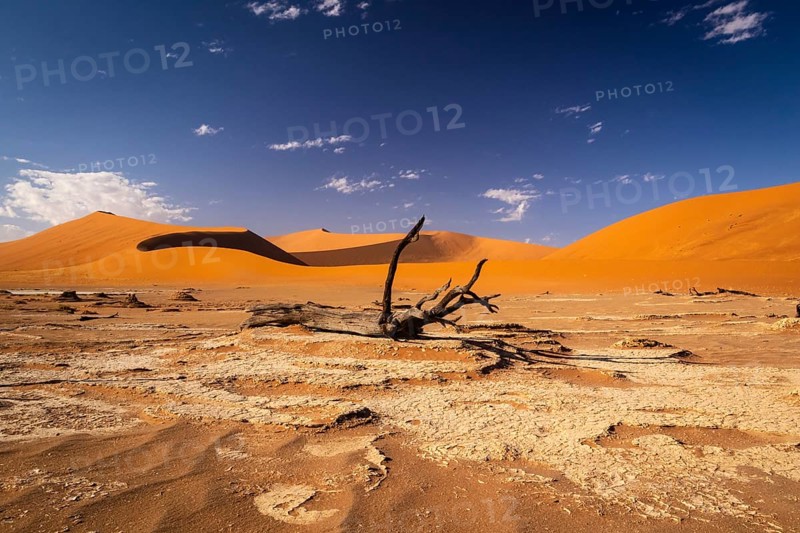Sossousvlei Park, Deadvlei, Namibia, Africa