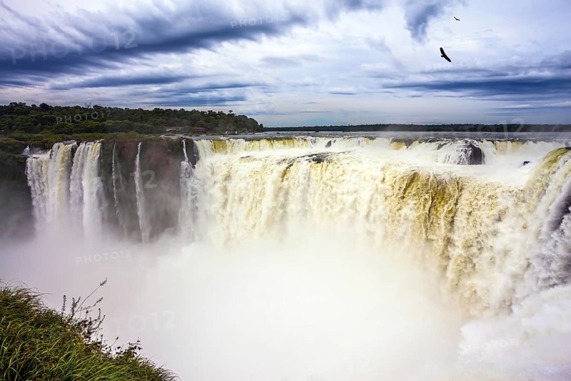 Grandiose waterfalls Iguazu in the rainy season - the Devil's Throat. Over the rumbling waterfall Andes condors fly. Concept of active and photographic tourism
