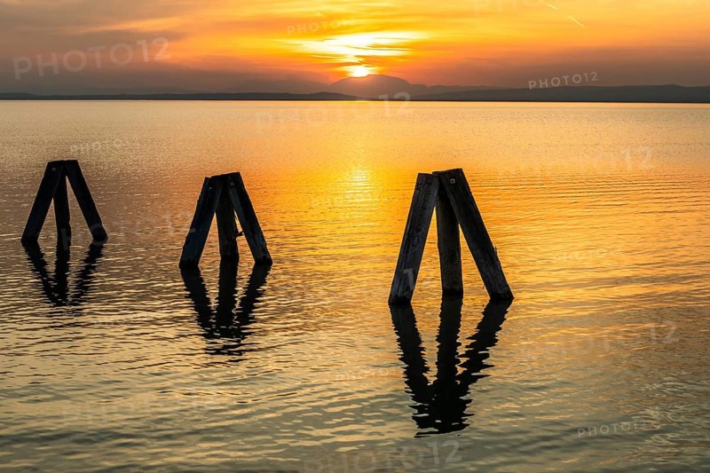 Evening atmosphere at the lake at sunset, bollard in Lake Neusiedl, Podersdorf, Burgenland, Austria, Europe