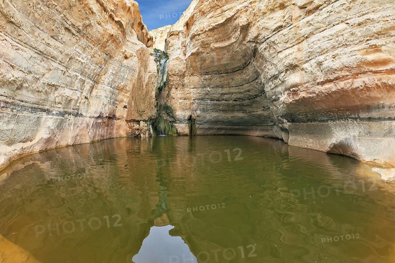 Clean cold water in the creek canyon. Sandstone walls apart, like butterfly wings. Picturesque canyon En-Avdat in the Negev desert