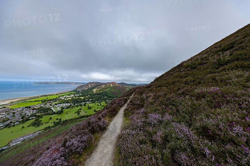 Jubilee circular walk in the mountains by the sea with views of Penmanmwar on the edge of Snowdonia National Park, Penmaenmawr, Dwygyfylchi, Caernarfonshire, Conwy County Borough, Wales, United Kingdom, Europe