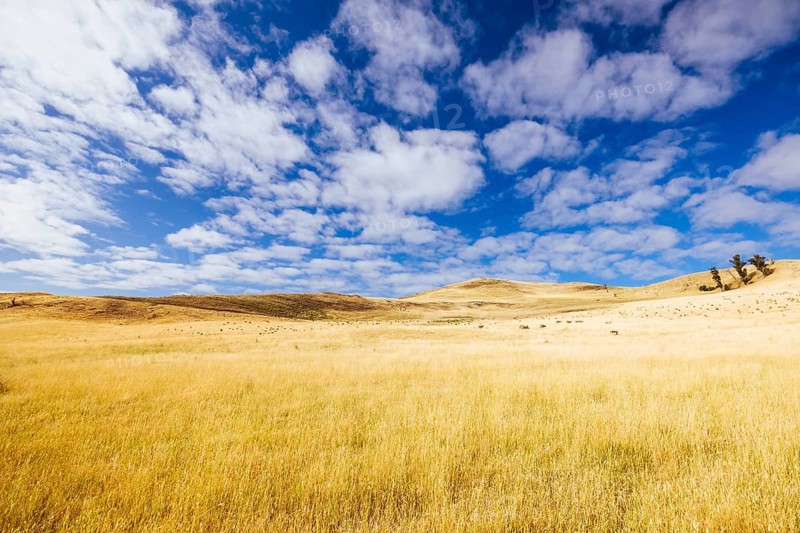 Summer time landscape in the Central Plateau Conservation Area near Ouse in Tasmania, Australia, Central Highlands, Australia, Oceania