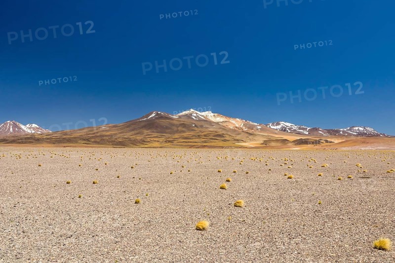 Atacama Desert, Chile. Salar Aguas Calientes. Lake Tuyacto. South America