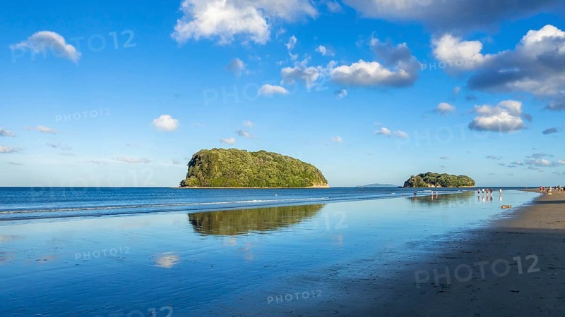 An image of Bay Of Plenty beach New Zealand