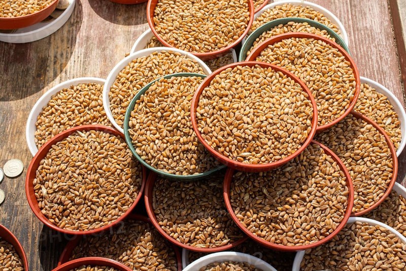 Whole wheat grains in bowl for sale for spilling out to feed bird