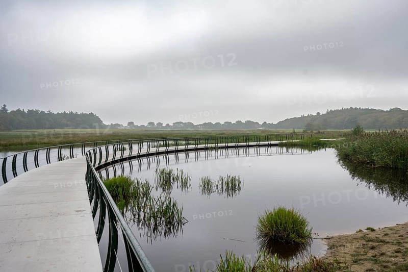 A narrow footbridge winds across a quiet pond of mist under a grey sky, Tureluur bicycle bridge, Texel