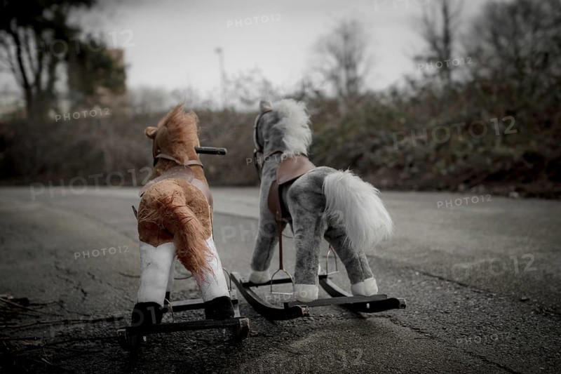 Two toy horses lie abandoned on the roadside