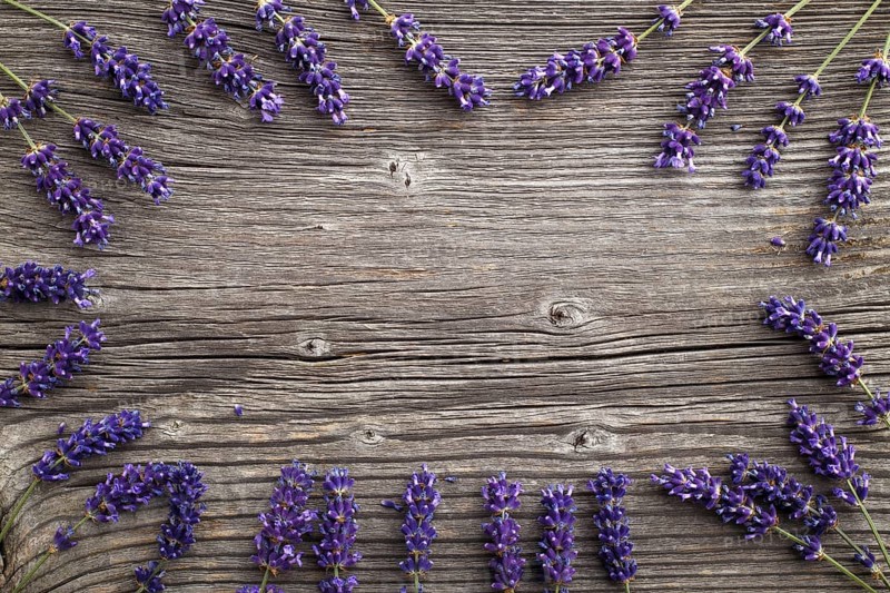 Lavender flowers on a wooden background. Floral border or frame with lavender