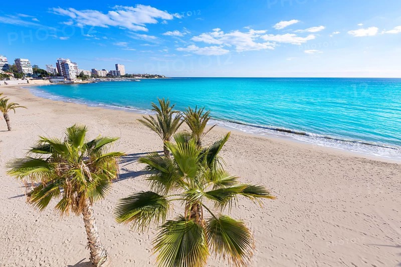 Alicante San Juan beach of La Albufereta with palms trees in Mediterranean Spain