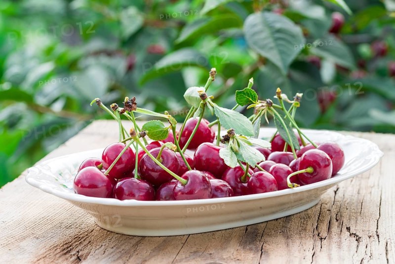 Cherry