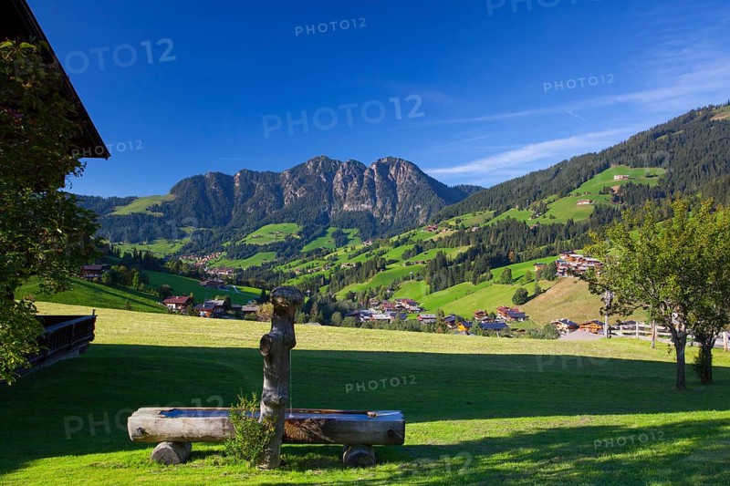The village of Inneralpbach in Alpbach Valley, Austria, Tirol, Europe