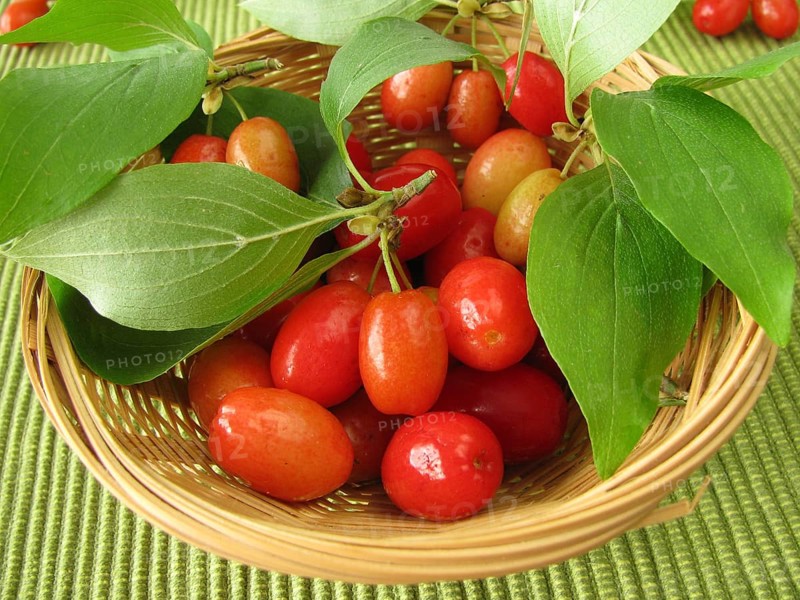 Cornelian cherries in a basket