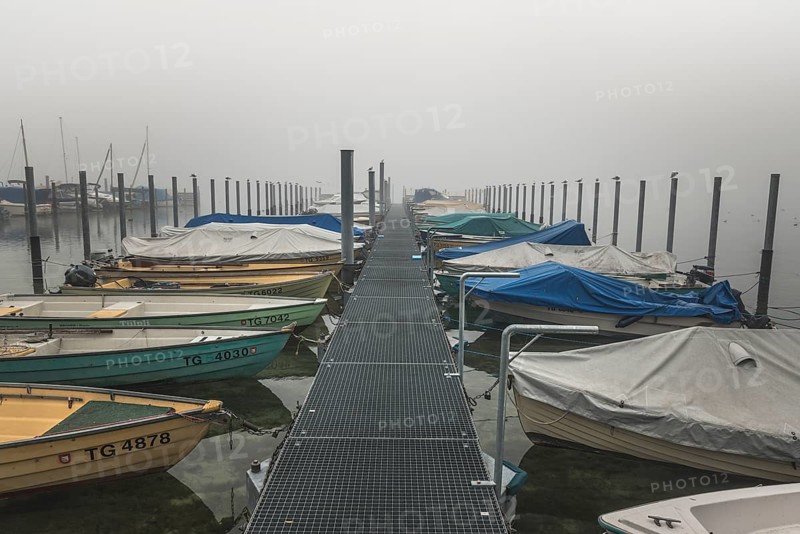 Boat harbour on Lake Constance in the fog, Eschenz, Canton Thurgau, Switzerland, Europe