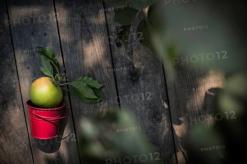 Apple on wooden floor and apple tree branch