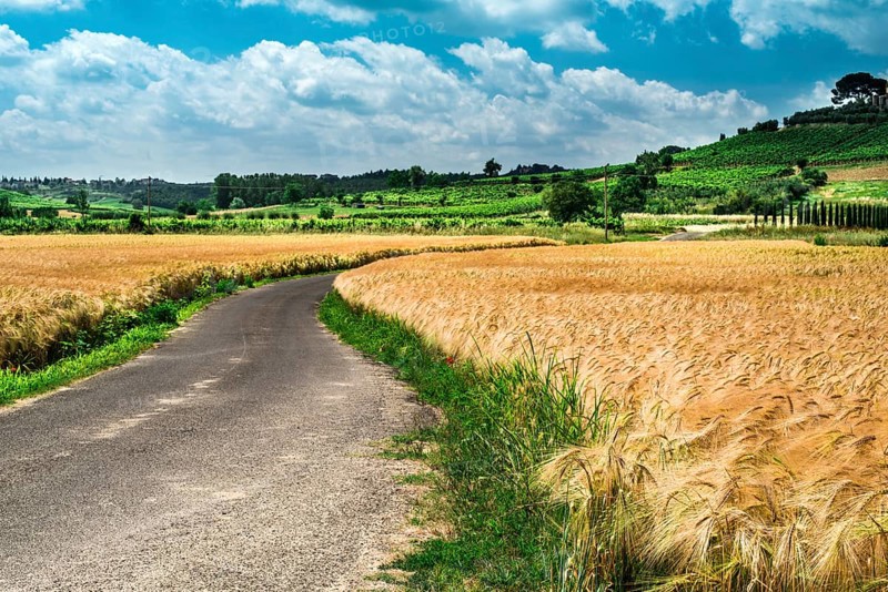 Getreide und Landwirtschaft in der Toskana