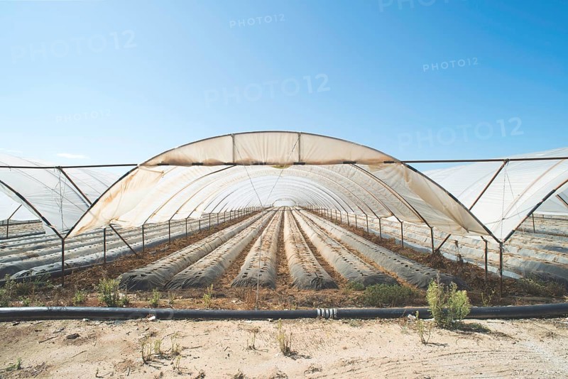 Greenhouse without plants. Sunlight