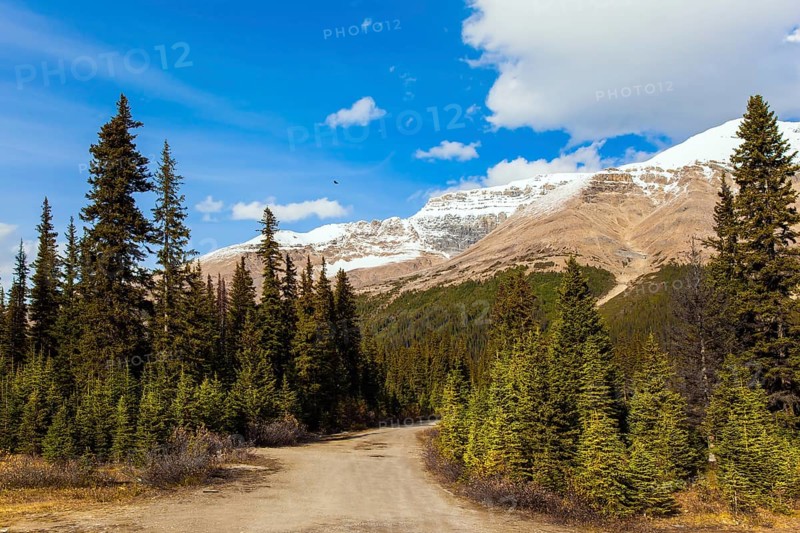 Valley at the foot of Lake Peyto. Autumn Journey to the Rockies of Canada. Active, eco and photo tourism concept
