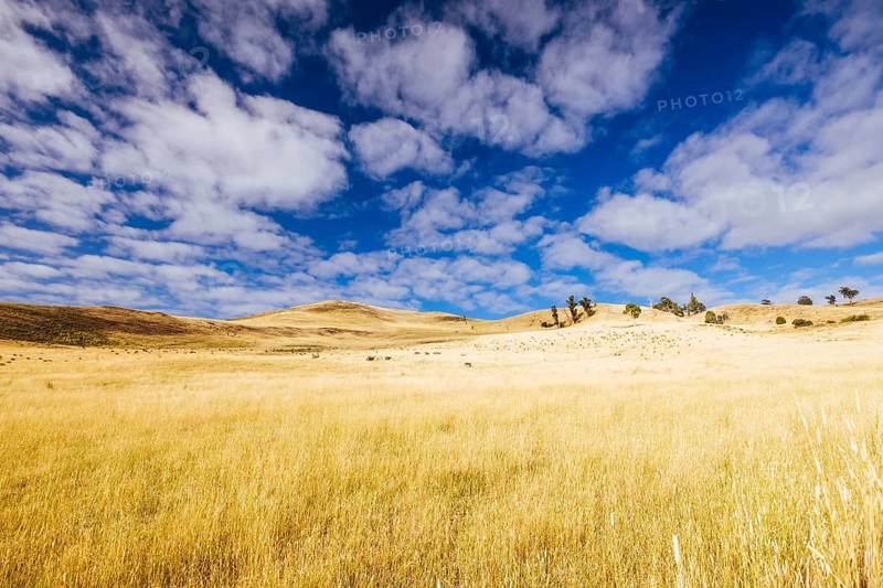 Summer time landscape in the Central Plateau Conservation Area near Ouse in Tasmania, Australia, Central Highlands, Australia, Oceania