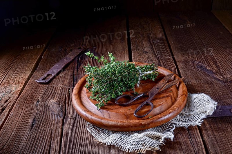 Thyme (Thymus vulgaris)