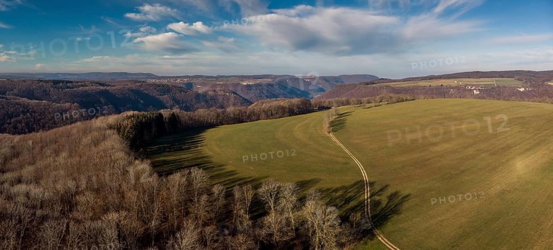 Forest landscape from the air
